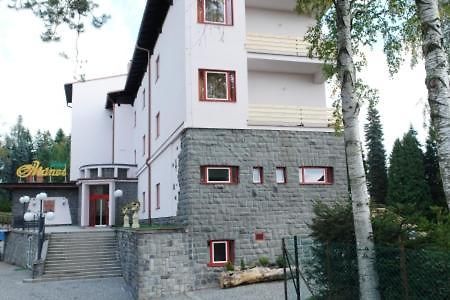 Hotel Manes Svratka Exteriér fotografie