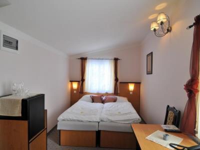 Hotel Manes Svratka Exteriér fotografie